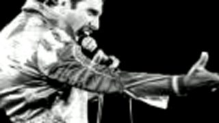 Love my of live...crocodil - joe