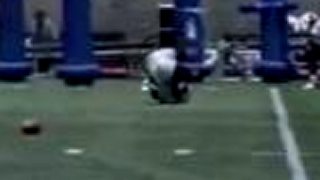 Michael Vick