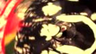 The Fialky - Kapitán 77 Official Video