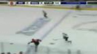 Nhl brankári vlastná tvorba