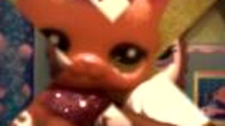 Moji pet shopy
