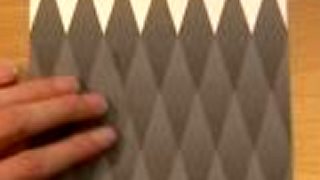 Model domu