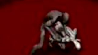 Human Weapon - Ninjutsu - Hamukai