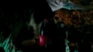 Project X - Trailer