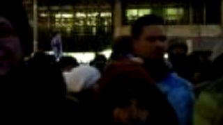 Gorila 2 BA 1/2