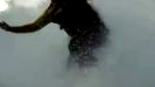 Surfista