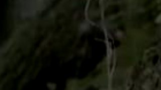 Airsoft Slovensko 2011 - Tribútne Video