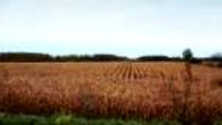 Timelapse