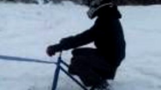 Moto+Sky bob