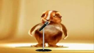 Hamster dance