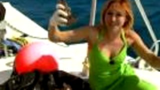Sexibaba z Mythbusters.