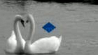 Bobik : - *