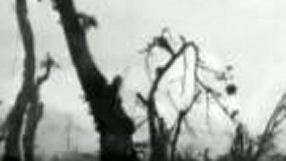 World War 1939 - 1945 (IV)