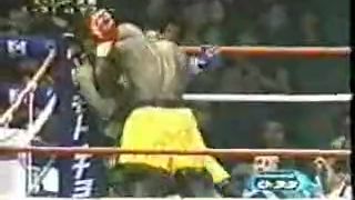 Ray Sefo K1 highlights