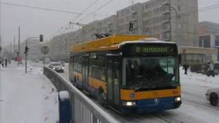 Vzpomínky na kalamitu