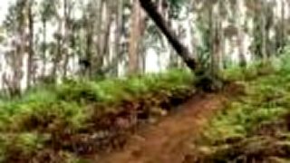 Downhill z Portugalska
