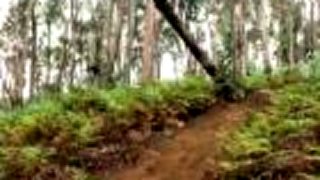 Riadny týpek - Downhill