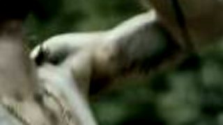 Crows While She Sleeps
