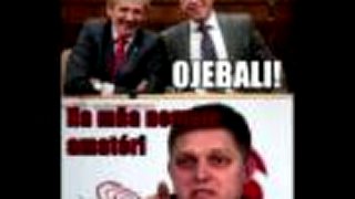 House Nation Slovakia 39 politica
