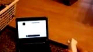 Robot ovládaný Wii ovládačom