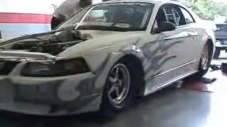 2000Konovy Mustang na Dynu