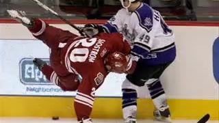 HOCKEY HITS NHL