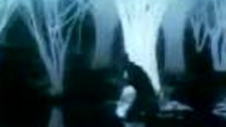 Haunted - Evanescence