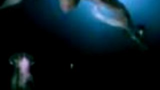 Evanescence - whisper