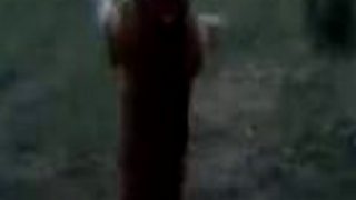 Assan - AmStaff
