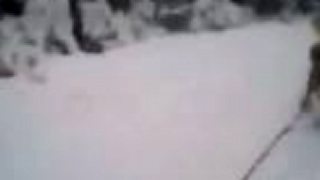 Srandovné Videa 4 - zážitky roku 2012