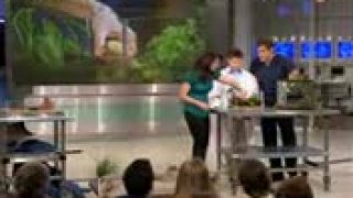 Dr. Oz