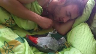 Žako - WELLNESS
