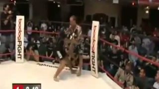 Ženské Knocko outy MMA/UFC