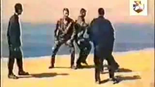 Systema Kadočnikova