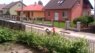 Kde to žijeme? 44