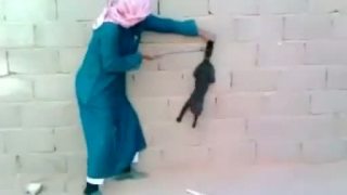 Arab odsekol mačke chvost