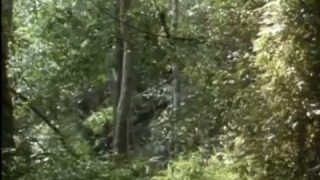 Hamburger Hill Trailer