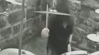 Majestic Vanguard - The Great Eternity