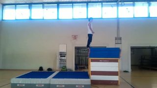 Double Backflip