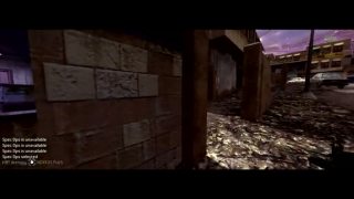 Pro - gaming Call of Duty 4