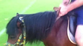 VELKA PARDUBICKA II
