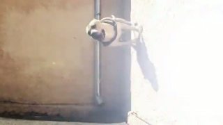 TRETstyle - Amazing trick