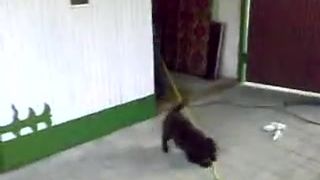 Bitka o švihadlo