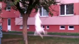Tito high jump training