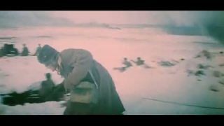 Alexandrovci, Svyachenaja vojna 2. sv. v