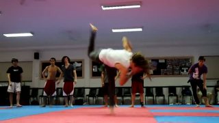 Art of Tricking