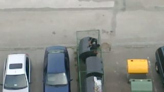 Cigán celý v kontajneri