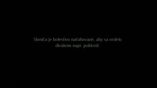 Cirkus - drezura slonov