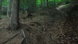 Vyjazdik