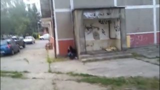 Dambldor Ka